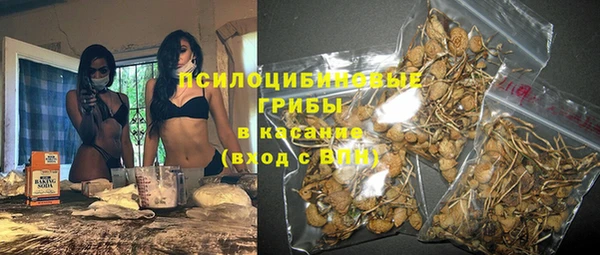 ГАЛЛЮЦИНОГЕННЫЕ ГРИБЫ Белоозёрский