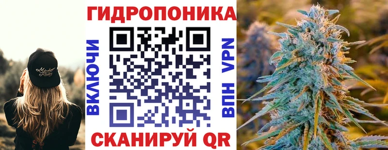 Бошки Шишки семена  Нерчинск 